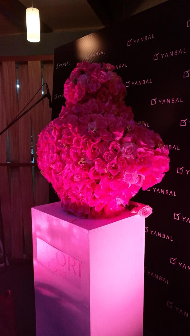 29391708_10214755208968831_112264823_o